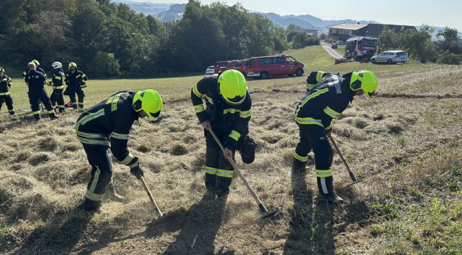 +++ Ausbildung für Vegetationsbrandbekämpfung+++